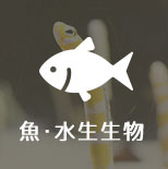 魚・水生生物